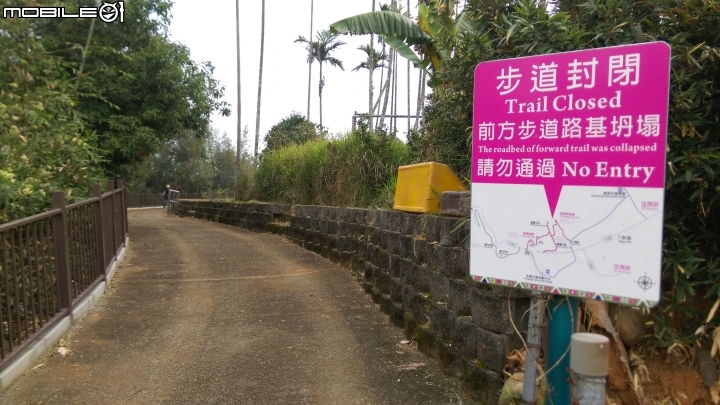 南投賞鷹平台散步遊