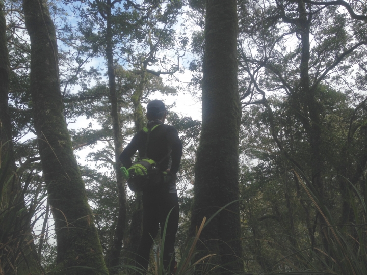 浪旅：寒溪－翠峰湖一日行