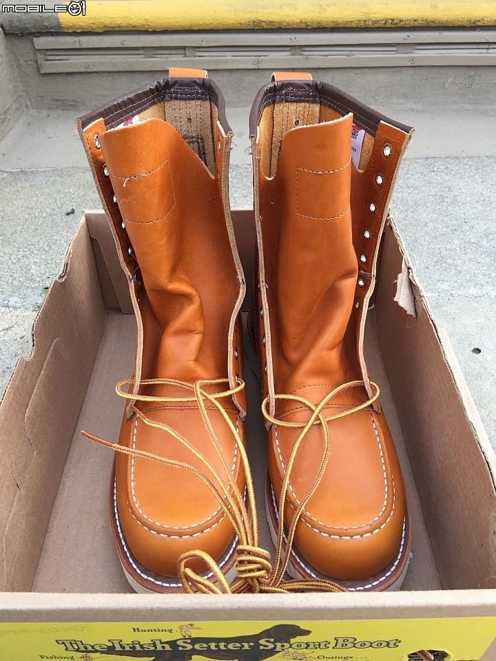 Red Wing 犬标 9877