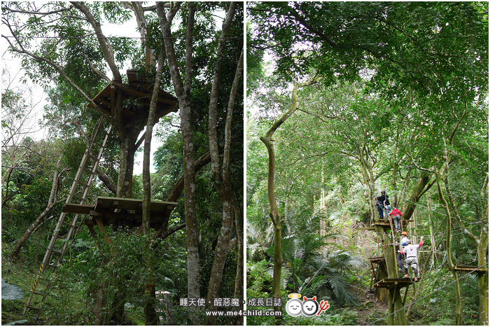 【花蓮親子景點】跟著孩子到森林當泰山,在樹冠層探險當野猴子享受盪來盪去的快感!走迷宮、鋼索、棧道、吊橋、樹梯,在自由自在的空氣裡開懷大笑!
