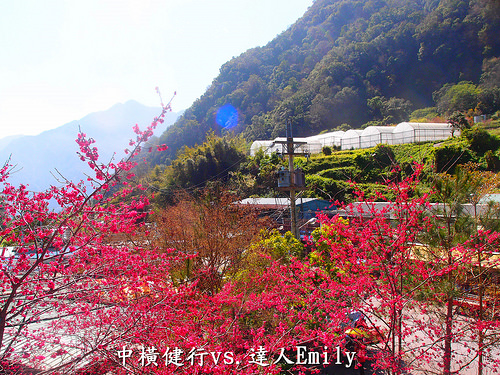 【花蓮旅遊】中橫健行隊,縱走台八線@天祥&太魯閣,用汗水與歡笑走過的青春歲月(上)