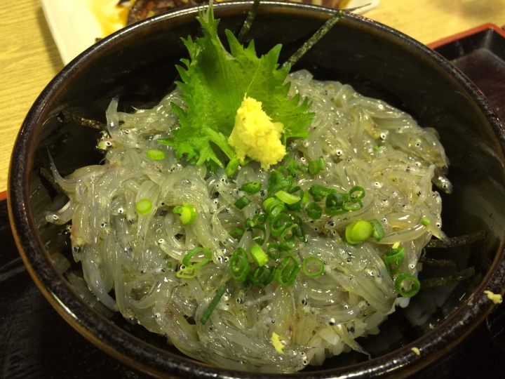 在日老台哈雷遊記＿伊豆土肥溫泉兩天一夜遊