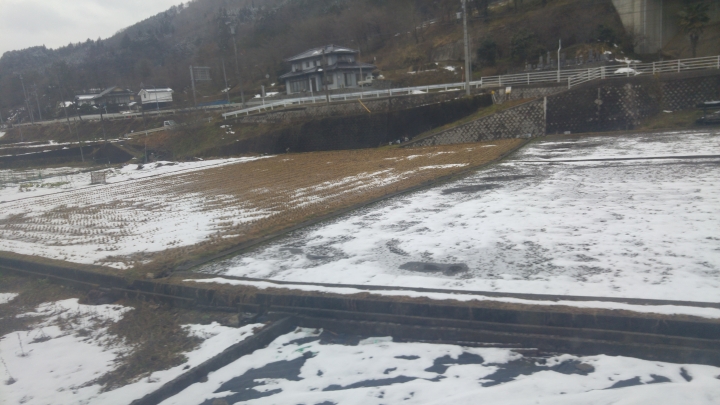 [2017.01.28-02.02]廣島、宮島嚴島神社、岩國錦帶橋、岡山後樂園、倉敷、松江城、出雲大社、大阪天王寺之旅(大推Hotel & Resort Bali Tower Tennoji！！！)