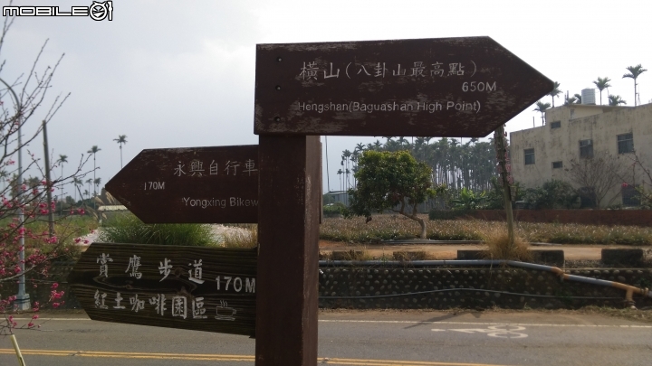 南投賞鷹平台散步遊