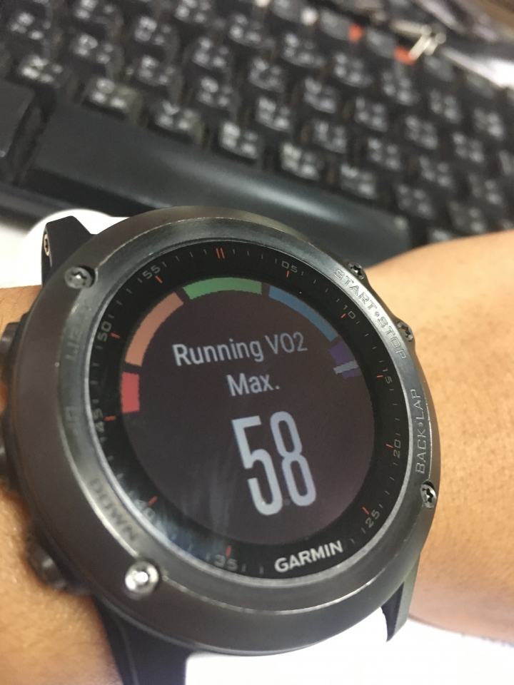 回歸跑步的本質....Garmin Fenix 3 關箱文 R.I.P. [2015/05 - 2016/12]