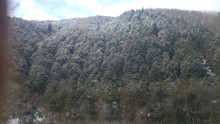 [2017.01.28-02.02]廣島、宮島嚴島神社、岩國錦帶橋、岡山後樂園、倉敷、松江城、出雲大社、大阪天王寺之旅(大推Hotel & Resort Bali Tower Tennoji！！！)