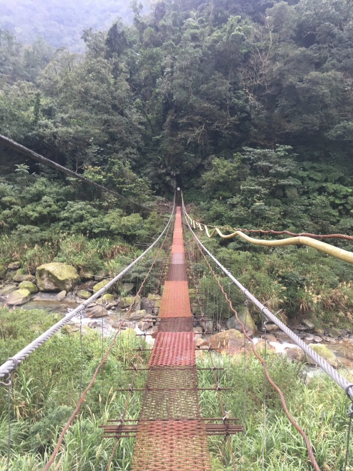 "流浪者日誌" - 武荖坑林道,人與自然的共存?