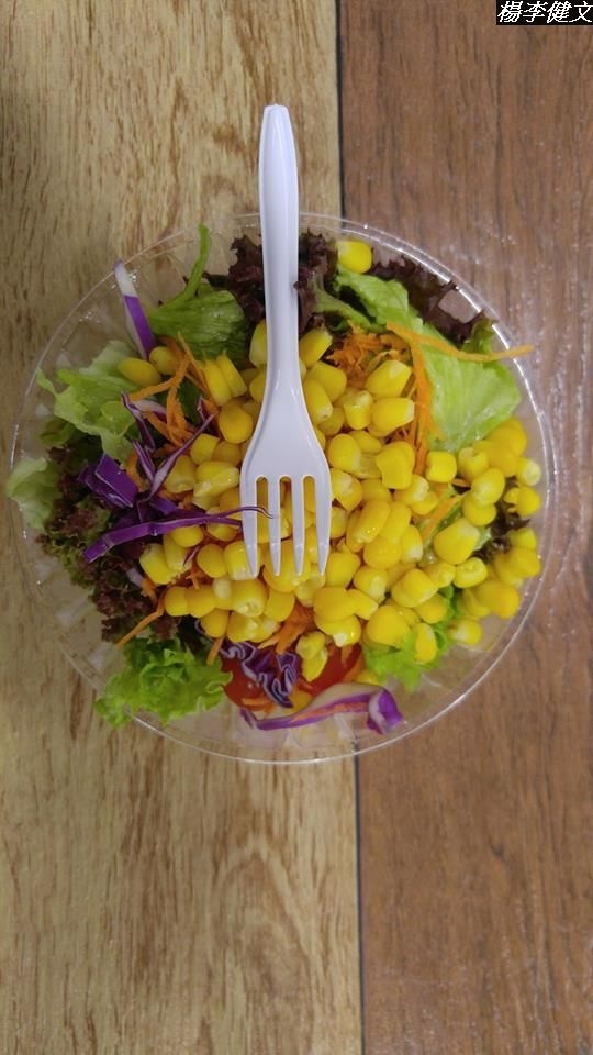 (第97批圖) LG G4 &G5&V10&v20 日夜拍研究團 精選作品2017.3.9