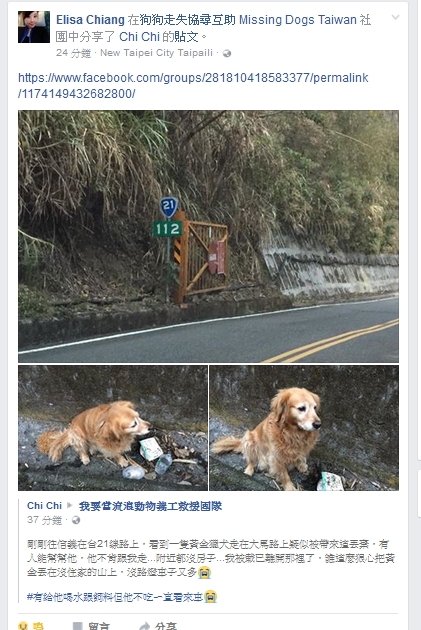 怎會有人把狗丟山上 ?
