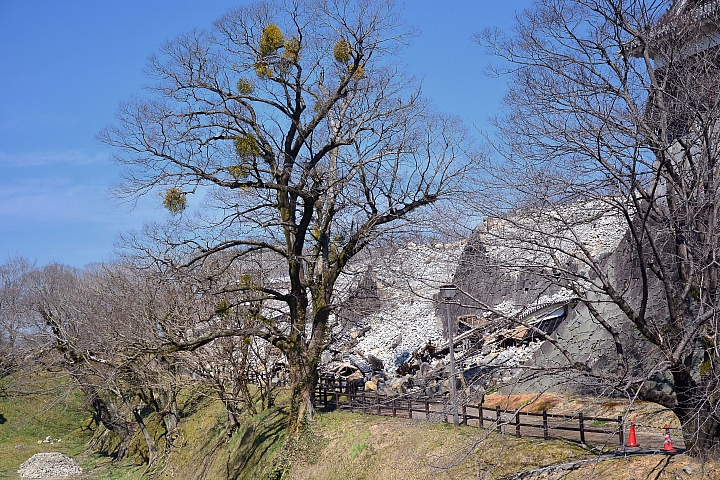 蜜月北九州之旅(圖多慎入)