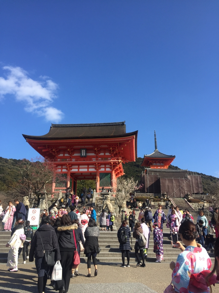 大眼妹之不能再遠了關西七日遊 DAY2 日記