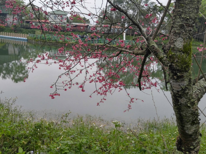 【花蓮】碧赫潭之旅