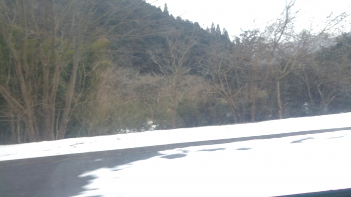 [2017.01.28-02.02]廣島、宮島嚴島神社、岩國錦帶橋、岡山後樂園、倉敷、松江城、出雲大社、大阪天王寺之旅(大推Hotel & Resort Bali Tower Tennoji！！！)
