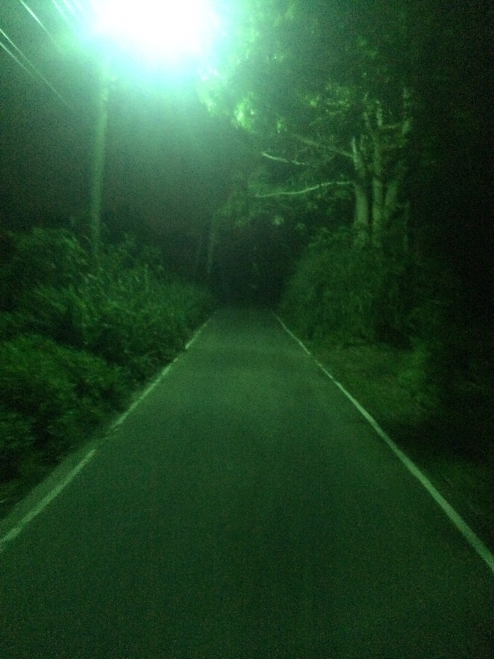 SSCX 單速車田字環島前傳 (完)