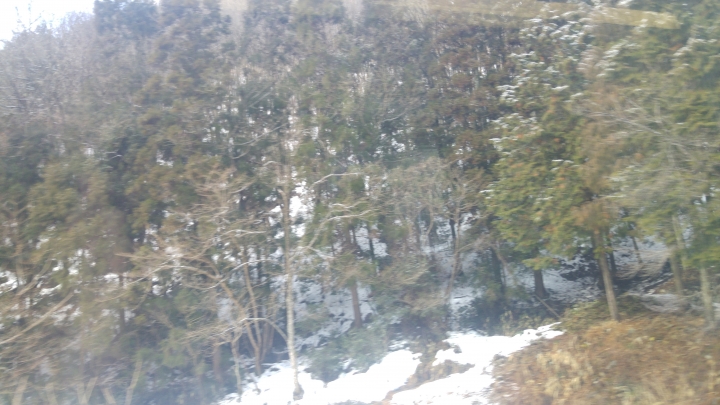 [2017.01.28-02.02]廣島、宮島嚴島神社、岩國錦帶橋、岡山後樂園、倉敷、松江城、出雲大社、大阪天王寺之旅(大推Hotel & Resort Bali Tower Tennoji！！！)