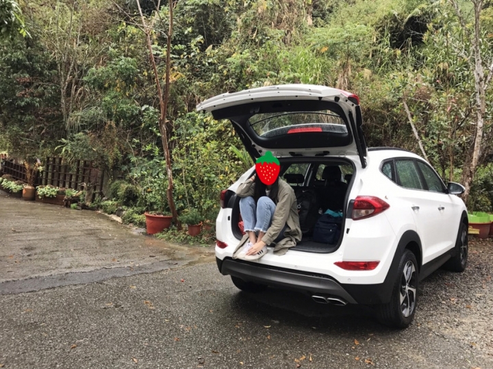 Tucson苗栗採草莓+南庄兩天一夜小蜜月之旅