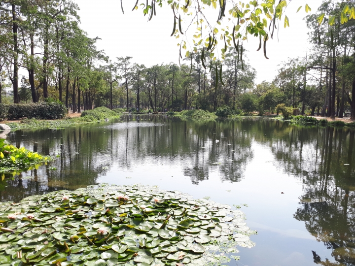 Samsung Galaxy A7 手機試用之秘境拍拍拍