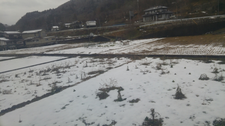 [2017.01.28-02.02]廣島、宮島嚴島神社、岩國錦帶橋、岡山後樂園、倉敷、松江城、出雲大社、大阪天王寺之旅(大推Hotel & Resort Bali Tower Tennoji！！！)