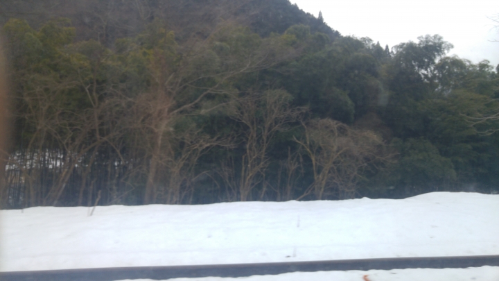 [2017.01.28-02.02]廣島、宮島嚴島神社、岩國錦帶橋、岡山後樂園、倉敷、松江城、出雲大社、大阪天王寺之旅(大推Hotel & Resort Bali Tower Tennoji！！！)