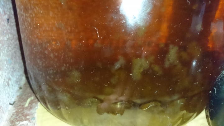 自己釀製蘋果醋~好像有怪異的懸浮物體