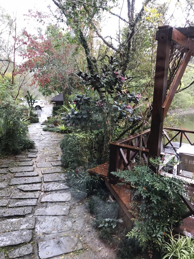 Tucson苗栗採草莓+南庄兩天一夜小蜜月之旅