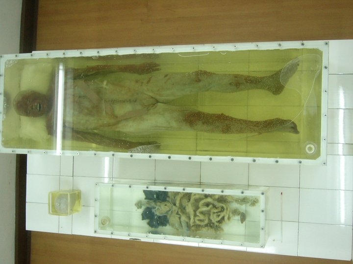 湖北旅遊 荊州古城 荊州博物館 西漢古屍