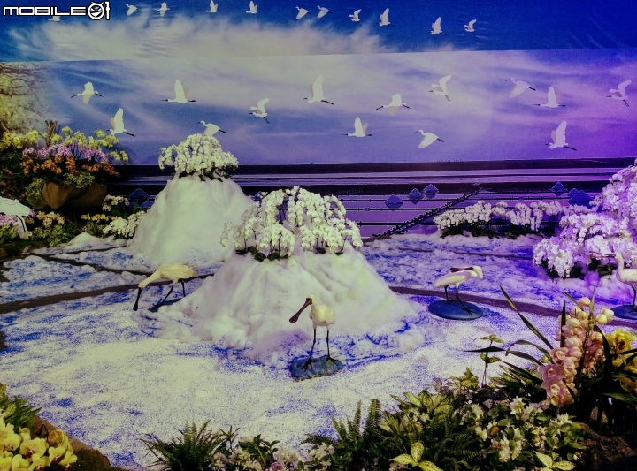 後壁區烏樹林 國際蘭花展 3月11號