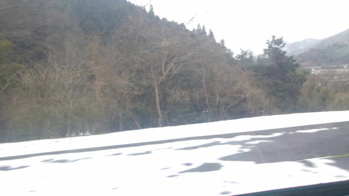 [2017.01.28-02.02]廣島、宮島嚴島神社、岩國錦帶橋、岡山後樂園、倉敷、松江城、出雲大社、大阪天王寺之旅(大推Hotel & Resort Bali Tower Tennoji！！！)