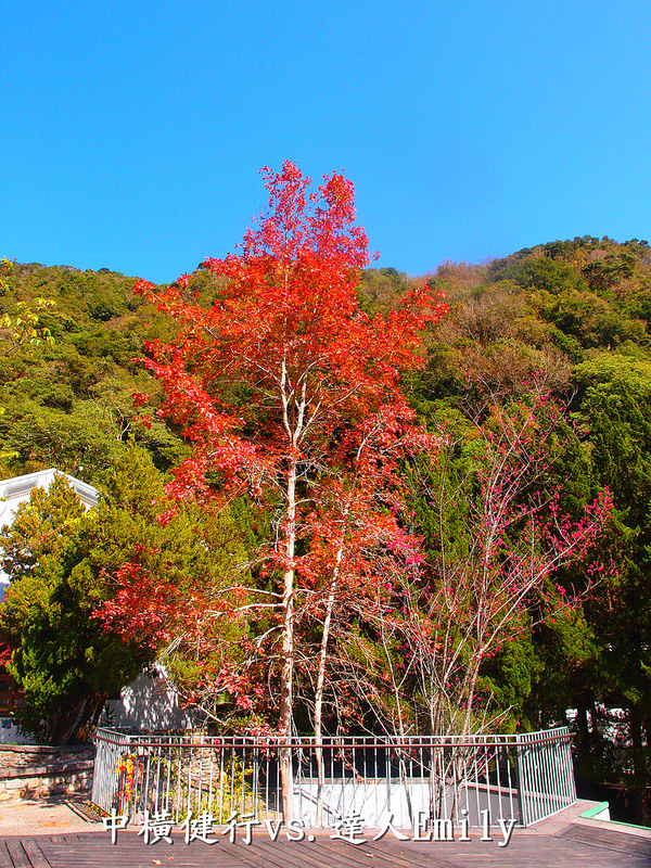 【花蓮旅遊】中橫健行隊,縱走台八線@天祥&太魯閣,用汗水與歡笑走過的青春歲月(上)