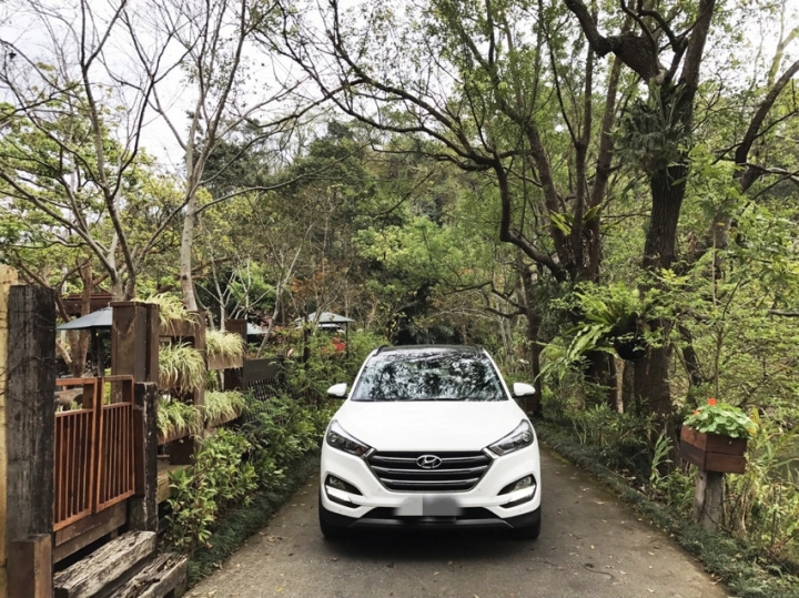 Tucson苗栗採草莓+南庄兩天一夜小蜜月之旅