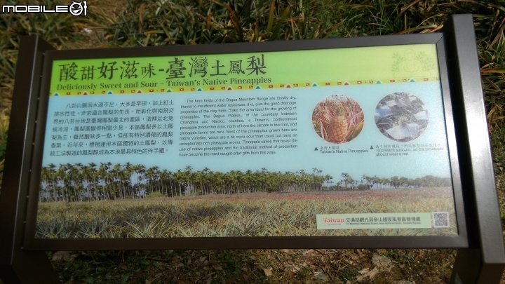 南投賞鷹平台散步遊