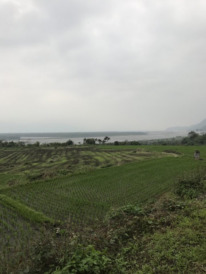 225環島苦行僧苦難之旅-下