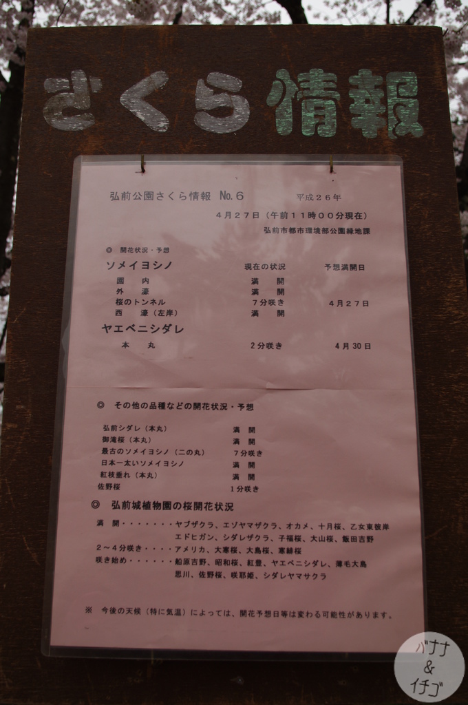 日本最強的賞櫻景點 The Pink World 弘前城