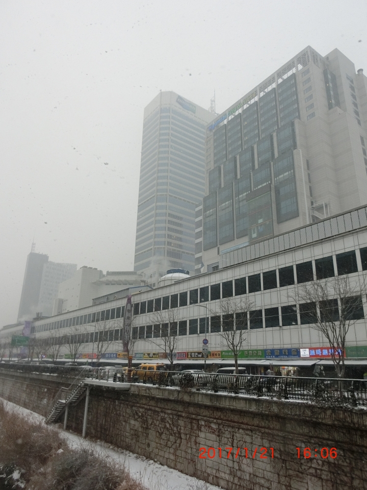 106/1/22 (日 ) 泰迪熊博物館、東大門及明洞逛街