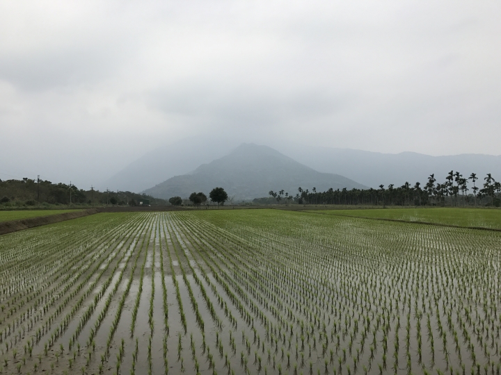 225環島苦行僧苦難之旅-下