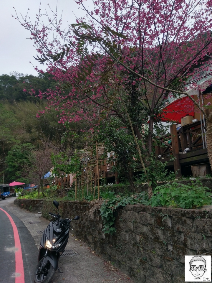 Force 155 YAMAHA 山葉 都市跑旅 開箱(圖多)