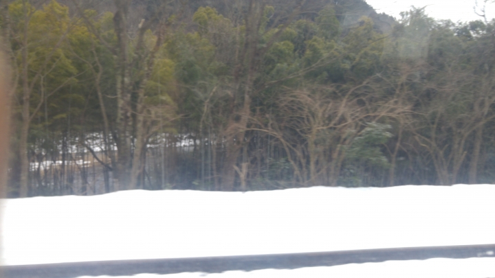 [2017.01.28-02.02]廣島、宮島嚴島神社、岩國錦帶橋、岡山後樂園、倉敷、松江城、出雲大社、大阪天王寺之旅(大推Hotel & Resort Bali Tower Tennoji！！！)