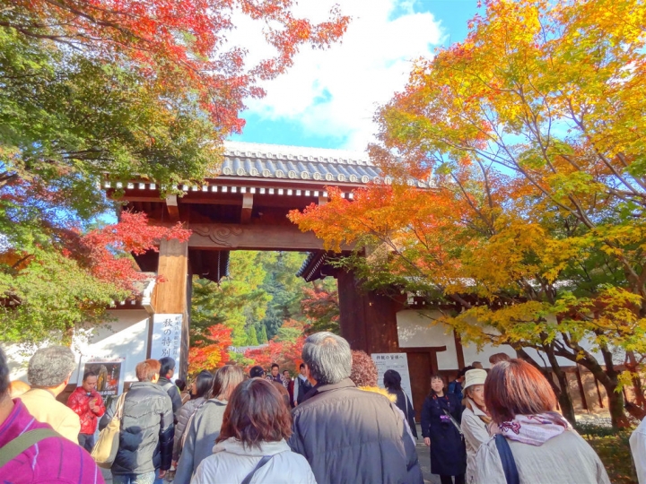 ＜日本＞2011自私之日本行~永觀堂外圍、京都御院