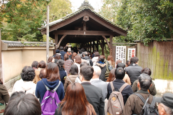 ＜日本＞2011自私之日本行~東福寺、三十三間堂、西本願寺、新京極