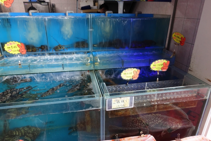 【食記】雲林虎尾。蒸饌養生蒸氣鍋