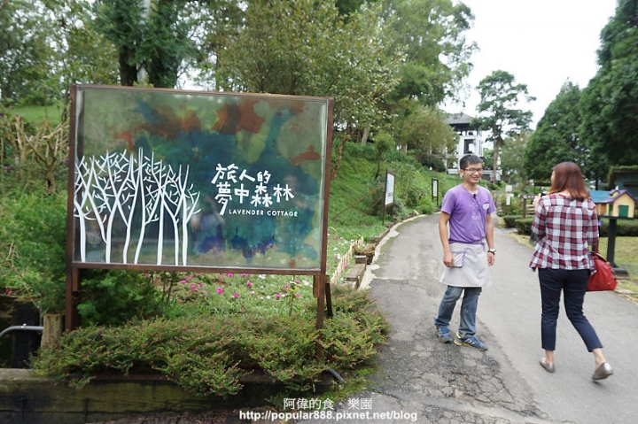 【新竹縣】即將消失的"薰衣草森林"輕旅行，欣賞美景還能DIY手工皂
