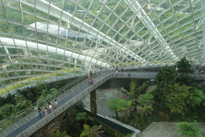 ＜新加坡＞2016新加坡知性之旅~濱海灣花園和克拉碼頭