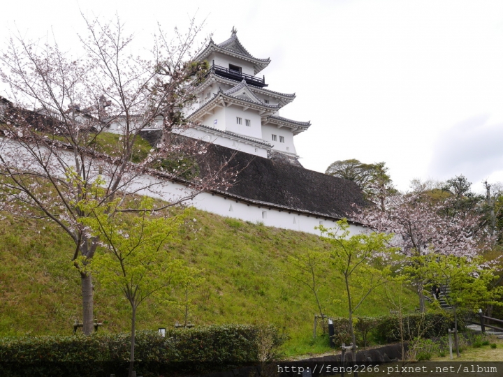 (日本靜岡 掛川) 東海名城-掛川城