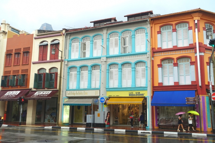 <新加坡>2016新加坡知性之旅~牛車水佛牙寺、小印度區、夜間動物園