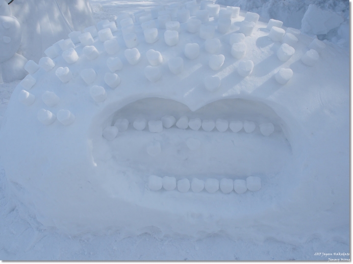 [日本東北自助行]-延伸北海道函館-巧遇冰雪奇緣雪寶-大沼國定公園(爽吃3.6kg帝王蟹)
