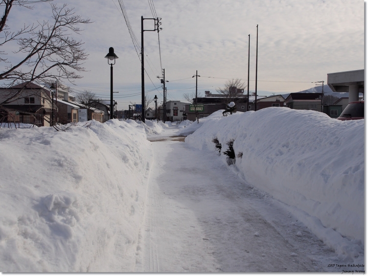 [日本東北自助行]-延伸北海道函館-巧遇冰雪奇緣雪寶-大沼國定公園(爽吃3.6kg帝王蟹)