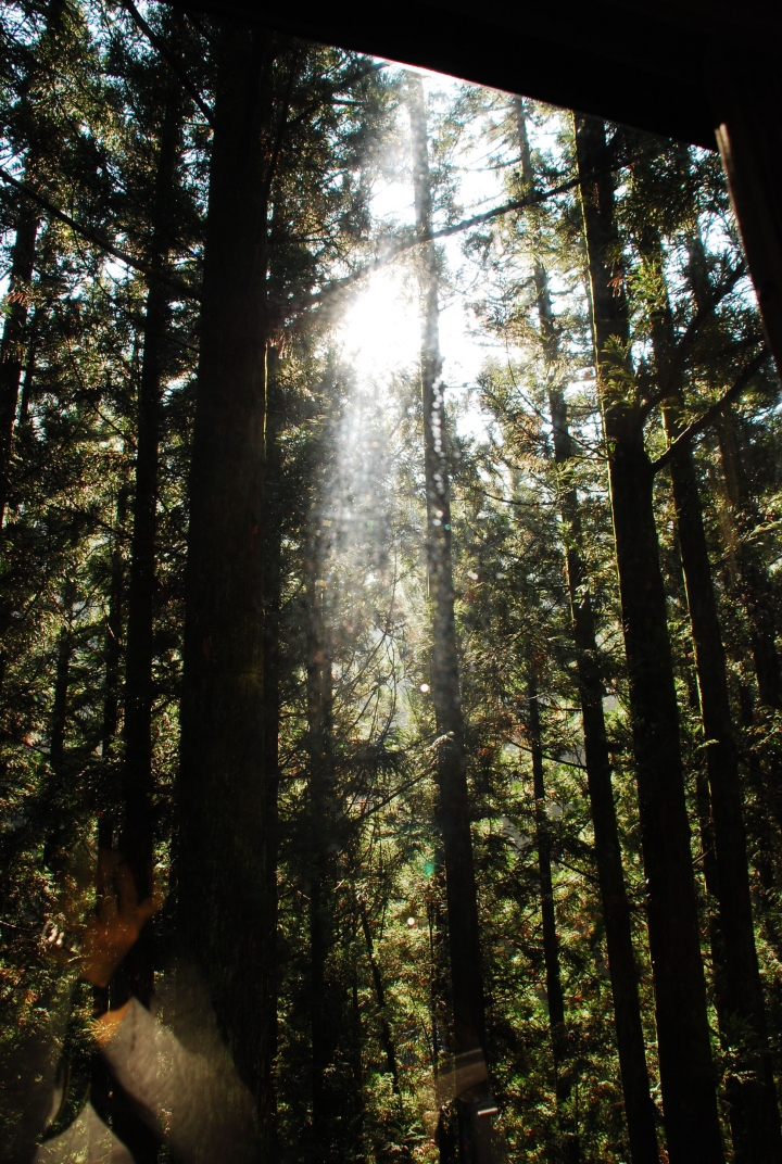 ＜日本＞2013日本二度蜜月去~人間仙境上高地