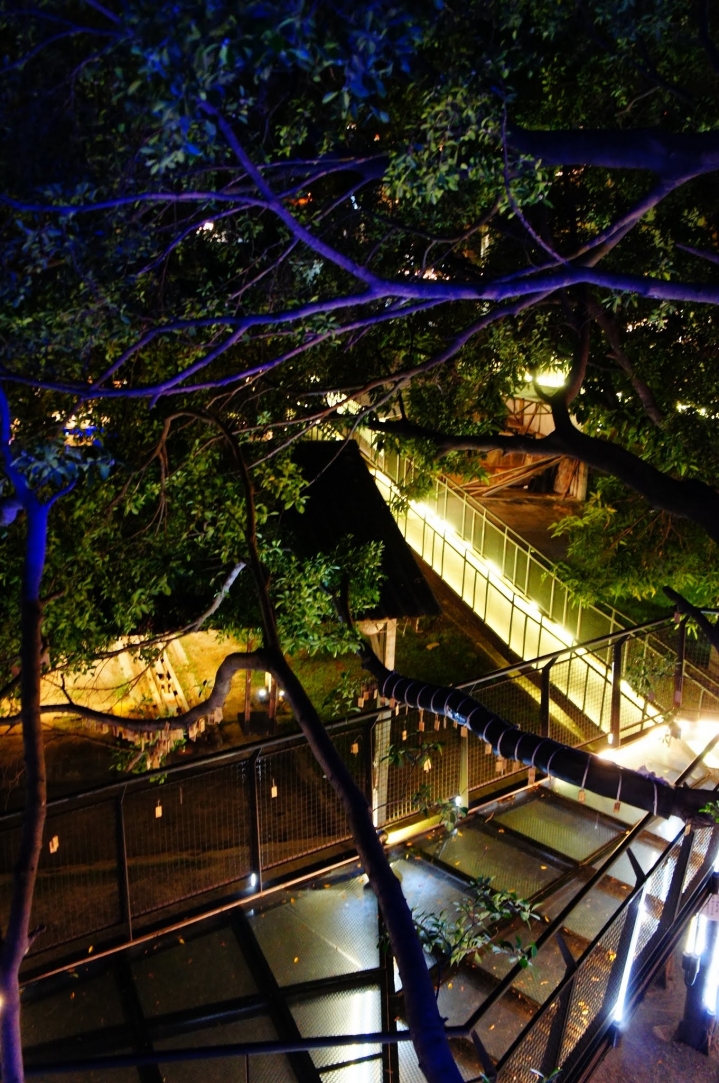 【台南仁德 | 景點】夜空下的糖罐遊樂場✦十鼓仁糖文創園區