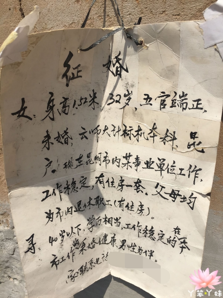 【中國・昆明・2016】昆明翠湖公園-西伯利亞紅嘴鷗過境地