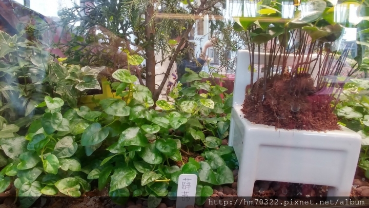 『桃園美食』-龜山山鶯路． Bistro 181法國餐廳 / 法式料理 / 有機法式料理 / 義大利麵